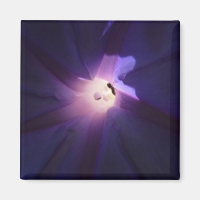 Imán gloria matutina (Frente)