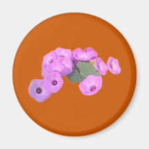 Glorias de la mañana