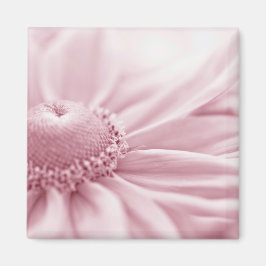 Imán Gloriosa Daisy Macro