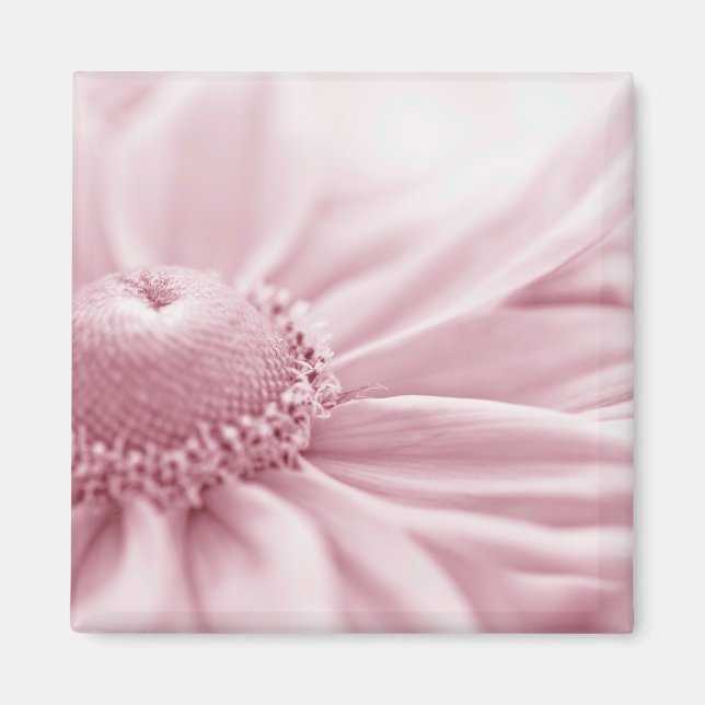 Imán Gloriosa Daisy Macro (Frente)