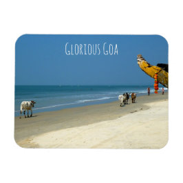 Imán Glorioso Goa - vacas en la playa en Goa del Sur