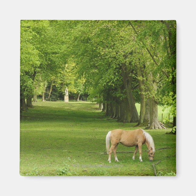 Imán Gloucestershire, Reino Unido (Frente)