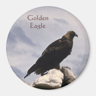 Imán Golden Eagle Magnet