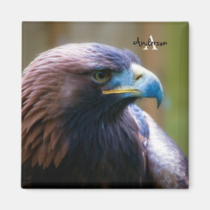 Imán Golden Eagle Magnet