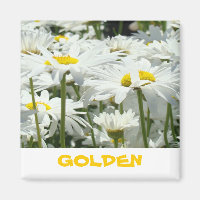 GOLDEN regalos imanes Flores de margarita blanca D