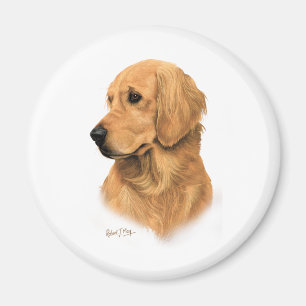 Imán Golden retriever