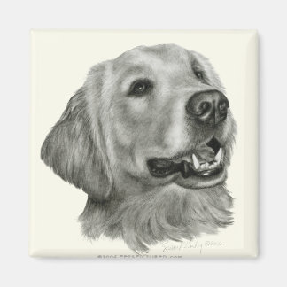Imán Golden Retriever