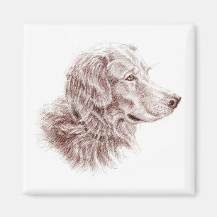 Imán Golden Retriever