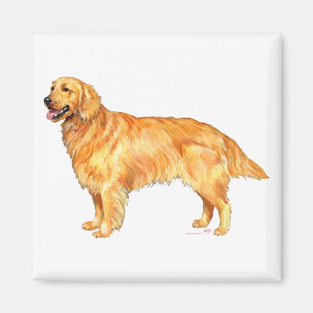 Imán Golden Retriever (Frente)