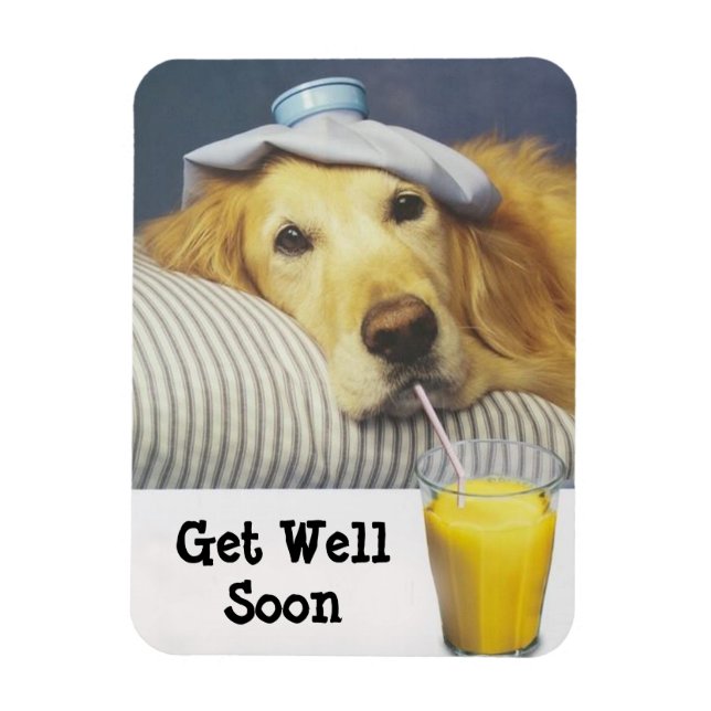 Imán Golden Retriever (Vertical)