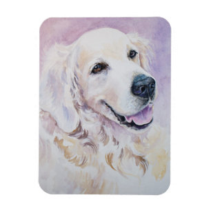 Imán Golden retriever