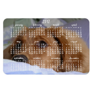 Imán Golden Retriever Calendar 2017 Large Photo Magnet
