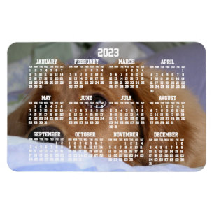 Imán Golden Retriever Calendar 2023 Large Photo Magnet