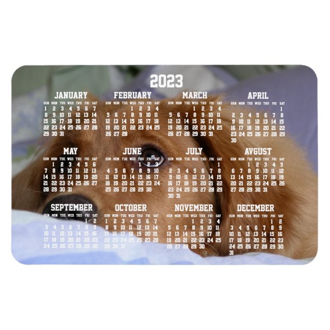 Imán Golden Retriever Calendar 2023 Large Photo Magnet (Horizontal)