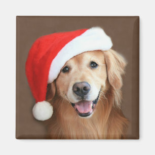 Imán Golden retriever con el gorra de Santa