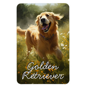 Imán Golden Retriever in a Sunlit Meadow