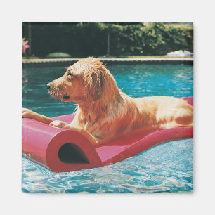 Imán Golden retriever que miente en una cama de aire en