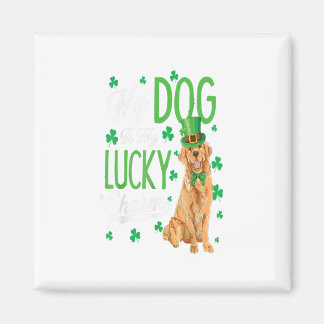 Imán Golden Retriever St Patricks Day Funny Perg Lover