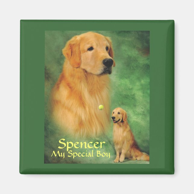 Imán Golden Spencer Magnet (Frente)