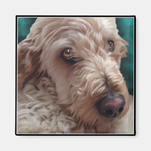 Imán Goldendoodle (Frente)