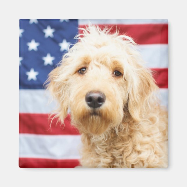 Imán Goldendoodle con bandera estadounidense (Frente)