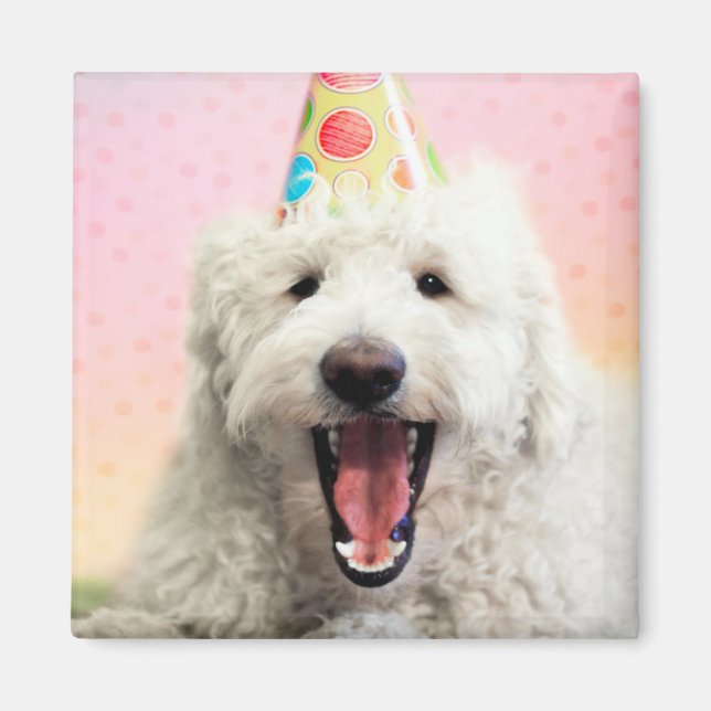 Imán Goldendoodle Con Gorra Fiesta (Frente)