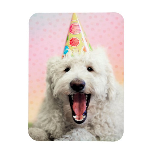 Imán Goldendoodle Con Gorra Fiesta (Vertical)