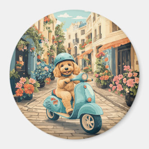 Imán Goldendoodle Perro Montando Scooter Calles Europea