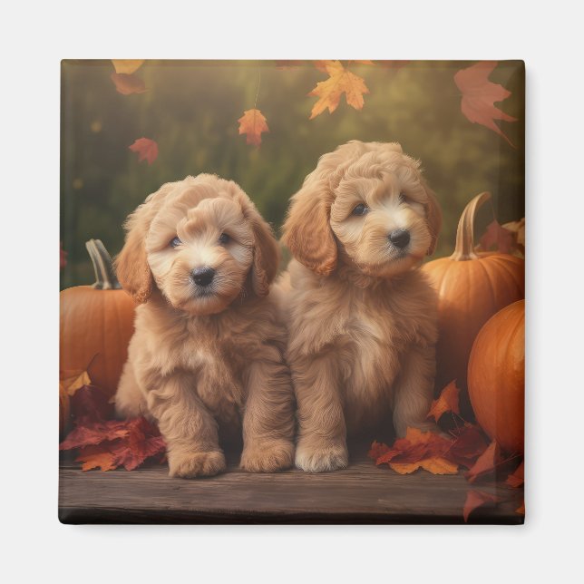 Imán Goldendoodle Puppy Autumn Delight Pumpkin (Frente)