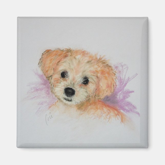 Imán Goldendoodle Puppy Dog Art Magnet (Frente)