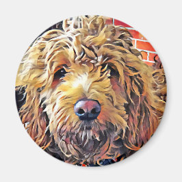 Imán Goldendoolde Puppy