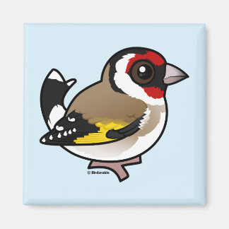 Imán Goldfinch europeo