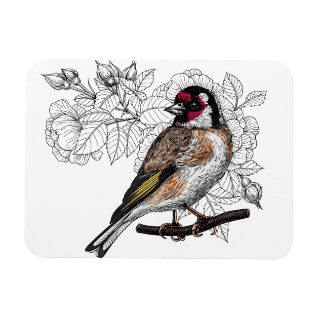 Imán Goldfinch y rosas (Horizontal)