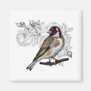 Imán Goldfinch y rosas