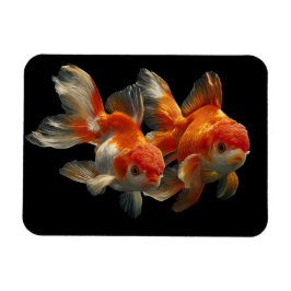 Imán Goldfish