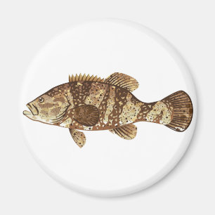 Imán Goliath Grouper Gamefish ilustracion vector océano