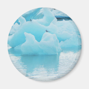 Imán Golondrinas de mar de Jökulsárlón