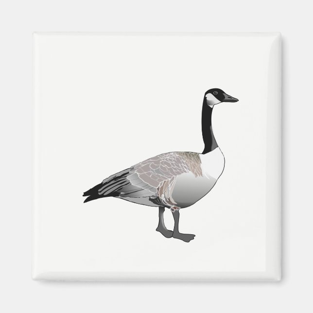 Imán Goose canadiense (Frente)