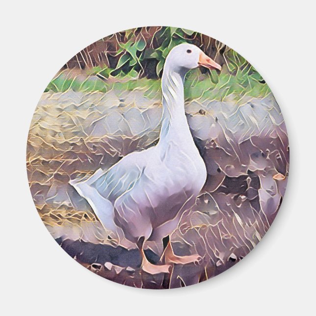 IMÁN GOOSE COASTER (Frente)