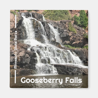 Imán Gooseberry Falls State Park Magnet