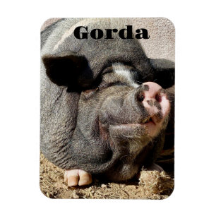 Imán Gorda Magnet
