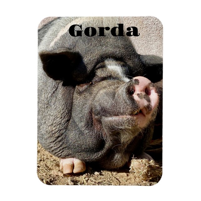 Imán Gorda Magnet (Vertical)