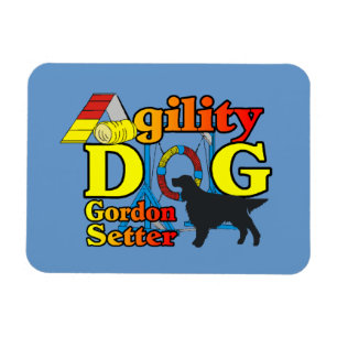 Imán Gordon Setter Agility