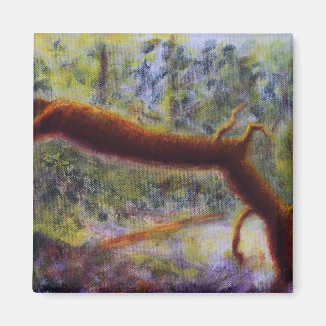 Imán Gorge de Elora, Magnet (Frente)