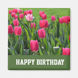 Imán gorgeous spring pink tulip flowers happy birthday