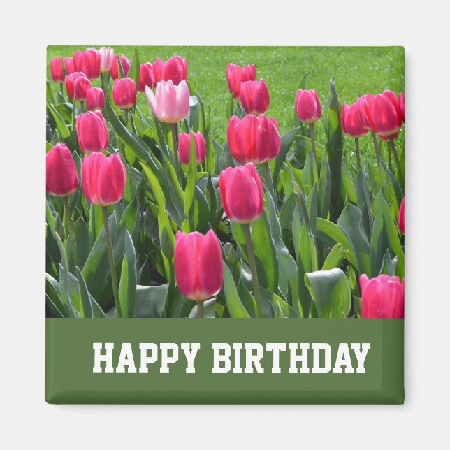 Imán gorgeous spring pink tulip flowers happy birthday (Frente)