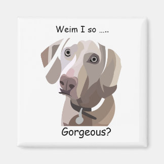 Imán Gorgeous Weimaraner magnet
