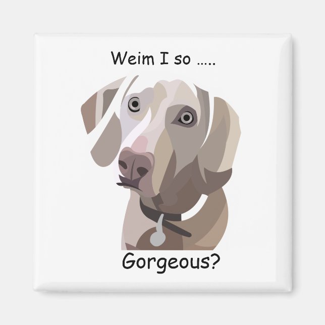 Imán Gorgeous Weimaraner magnet (Frente)
