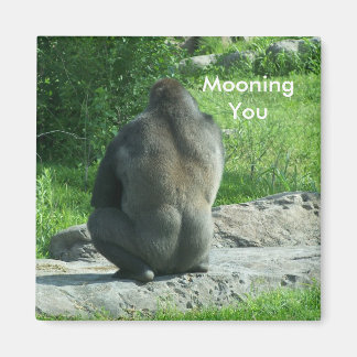 Imán gorila al revés, Mooning You