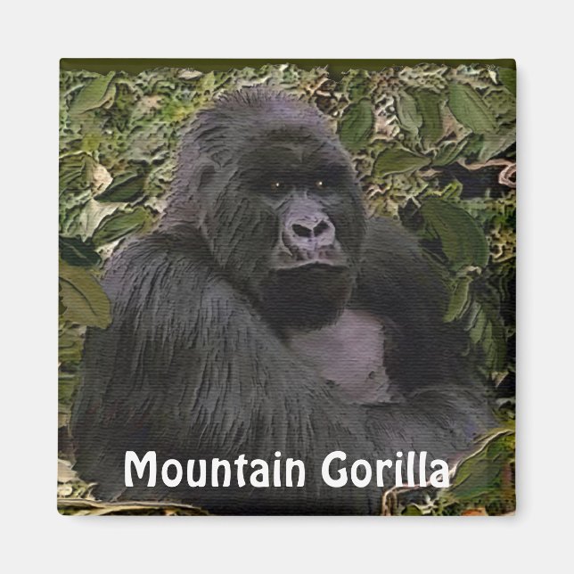 Imán Gorila de Montaña en peligro de extinción Magnet d (Frente)